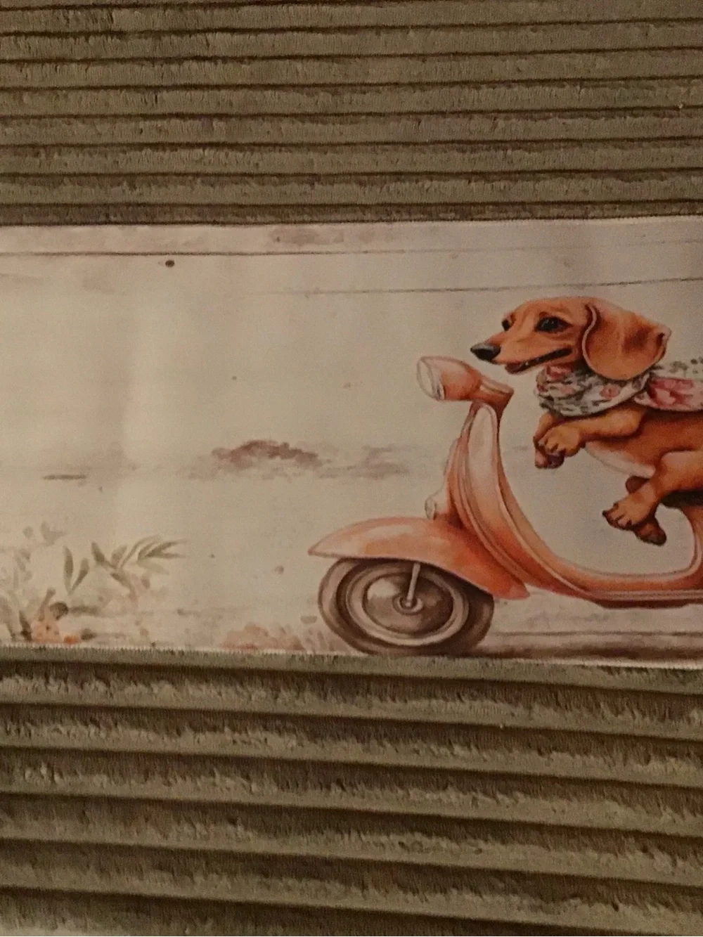 N/A charming dachshund
